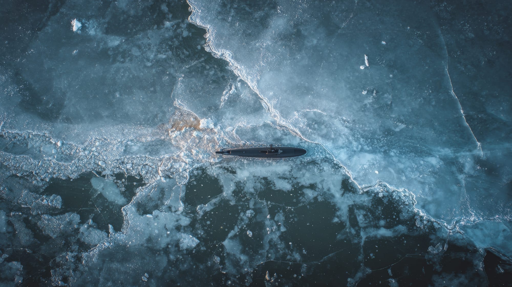 Comprehensive Arctic Newsletter Report 2025